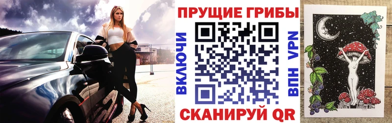 KRAKEN онион  Терек  Галлюциногенные грибы мухоморы  купить наркотик 