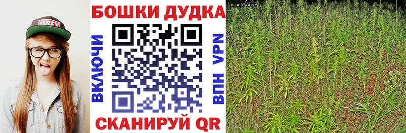 Конопля Ganja  hydra ССЫЛКА  Терек 